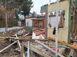 Opróżnienie i uprzątnięcie działki — zdjęcie 1