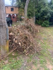 Opróżnienie i uporządkowanie działki — zdjęcie 6