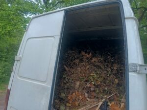 Opróżnienie i uporządkowanie działki — zdjęcie 1