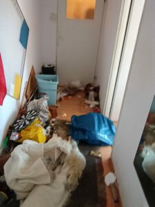 Opróżnienie mieszkania w bloku — zdjęcie 2
