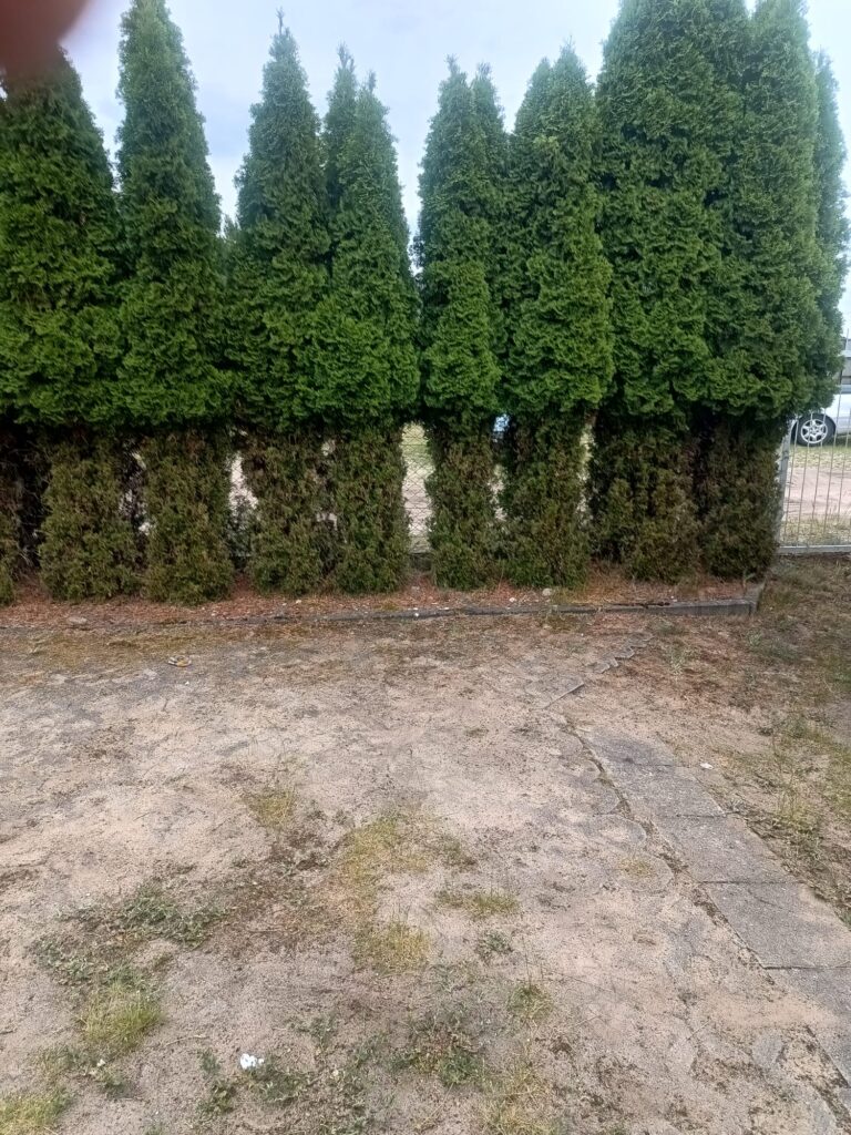 Zdjęcie po realizacji